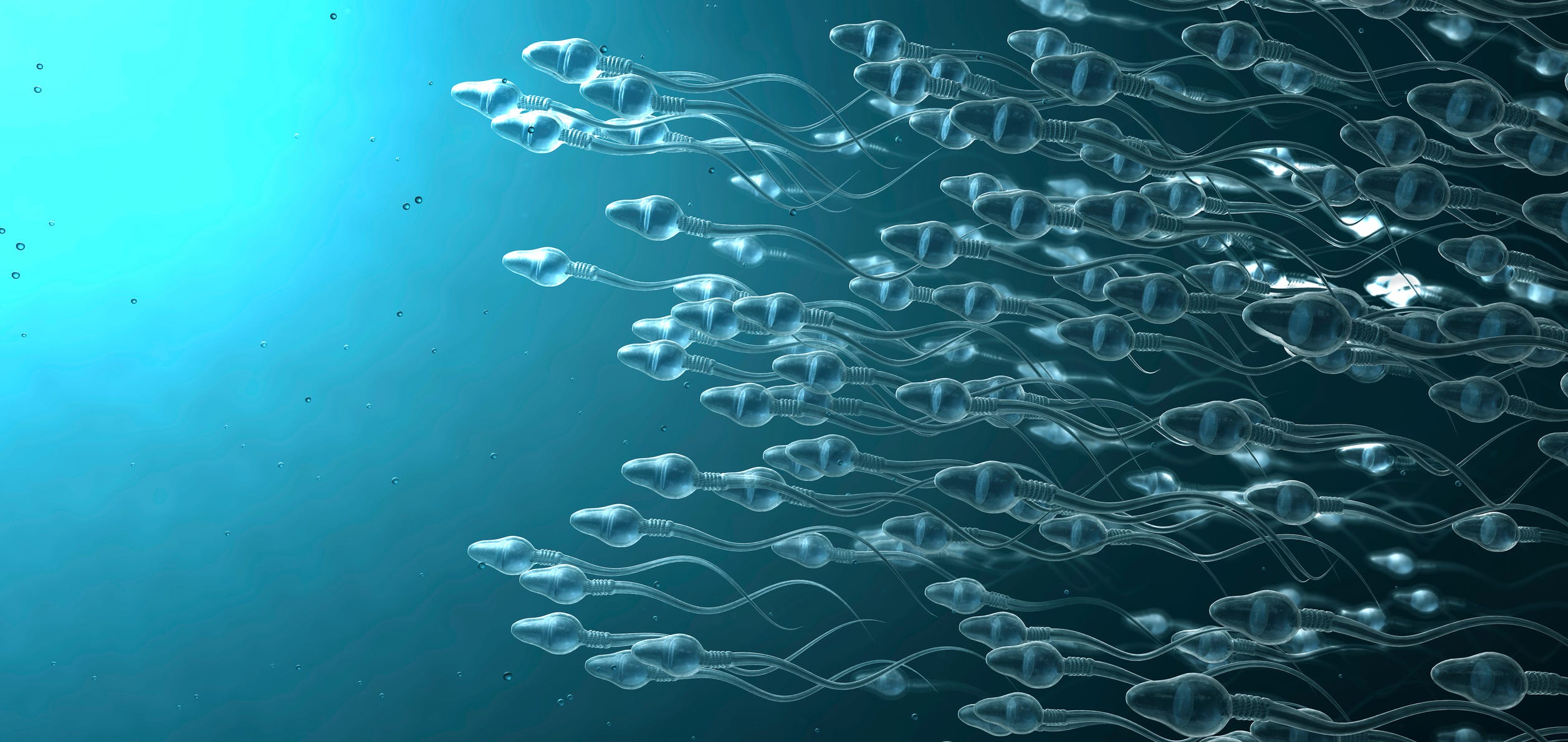 Lo Que Debes Saber Sobre Tu Salud Reproductiva
